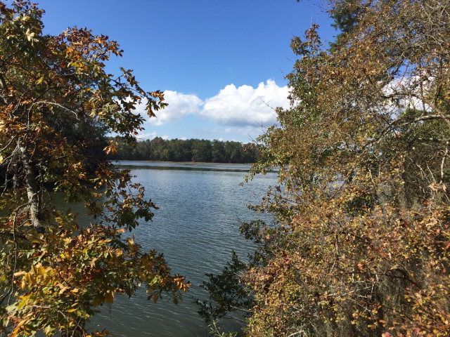 431 Us Hwy 431, Eufaula, AL 36027